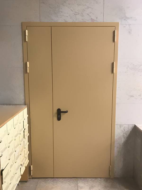 Полуторопольная дверь (МГУ)